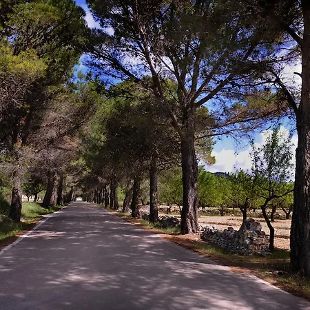 Apartment Complejo Rural La Glorieta